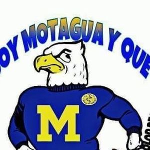 Meet your Posher, Edgar fernando